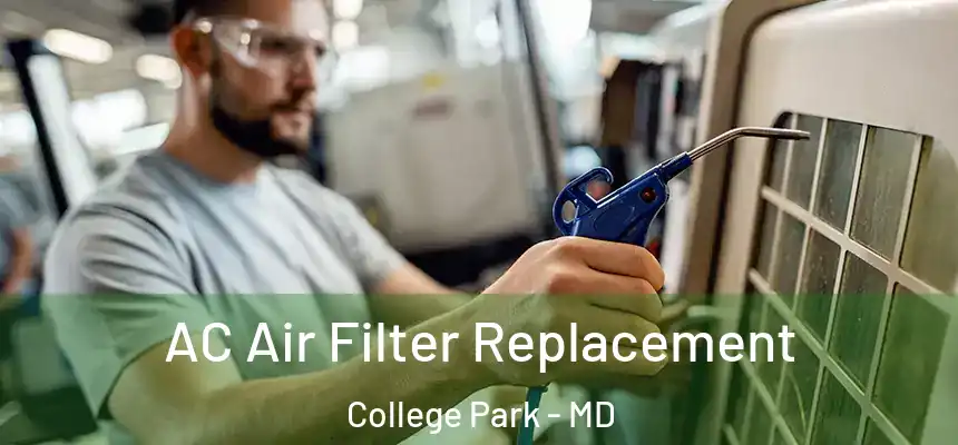 AC Air Filter Replacement College Park - MD