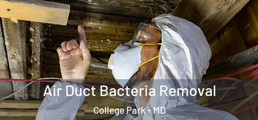  Air Duct Bacteria Removal College Park - MD