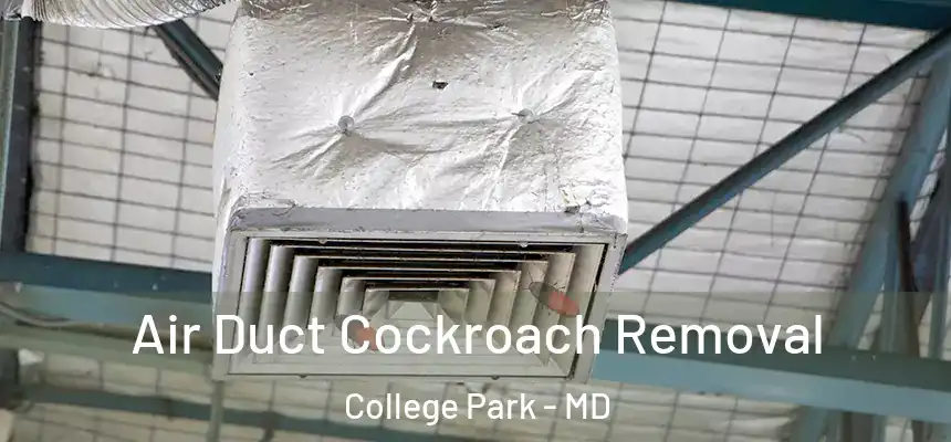 Air Duct Cockroach Removal College Park - MD