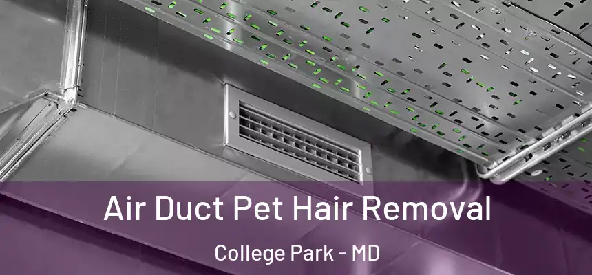 Air Duct Pet Hair Removal College Park - MD