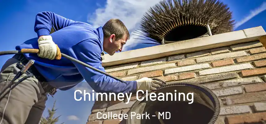 Chimney Cleaning College Park - MD