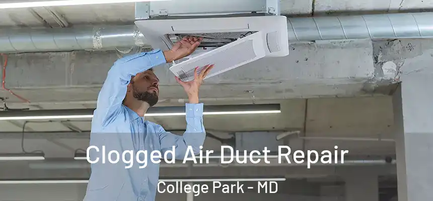 Clogged Air Duct Repair College Park - MD
