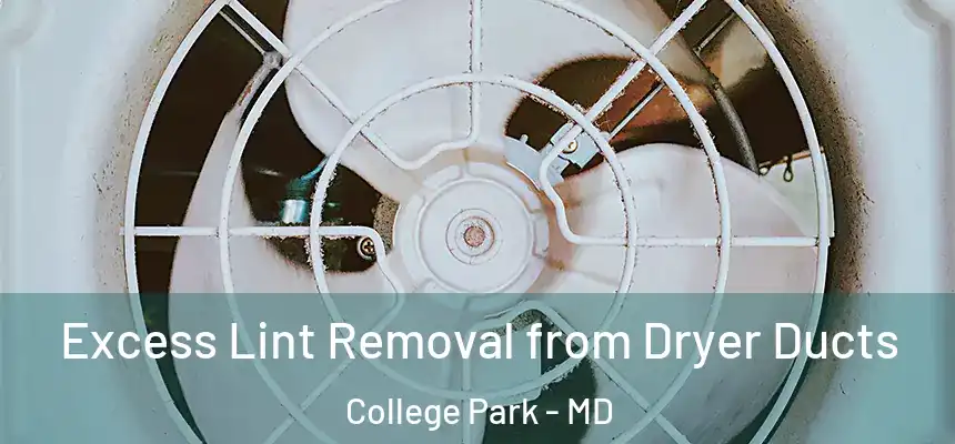 Excess Lint Removal from Dryer Ducts College Park - MD