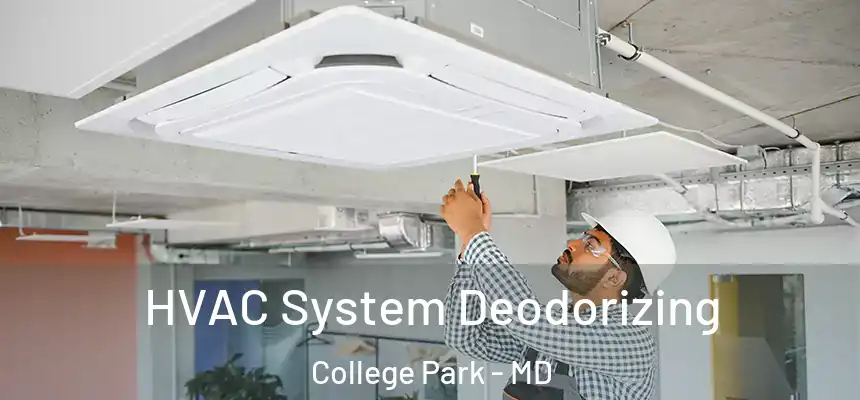 HVAC System Deodorizing College Park - MD