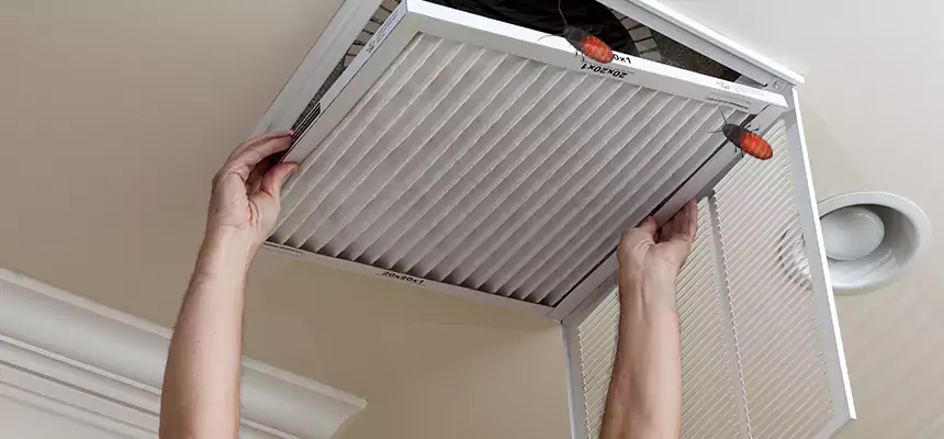 Preventive Cockroach-Proofing for Ducts in College Park