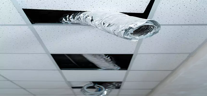 Our Air Duct Pet Hair Removal Services in College Park, MD