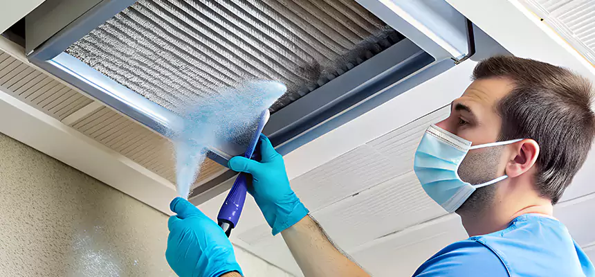 Proactive Dryer Vent & Auxiliary Duct Pollen Cleanup in College Park, MD