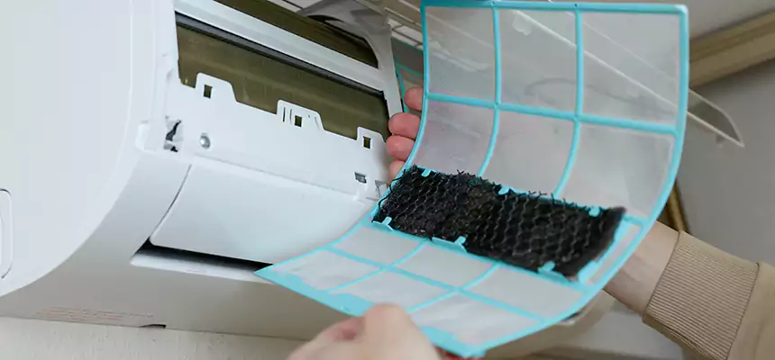 Gentle Ductwork Odor-Control Pet Dander Duct Cleaning in College Park, MD