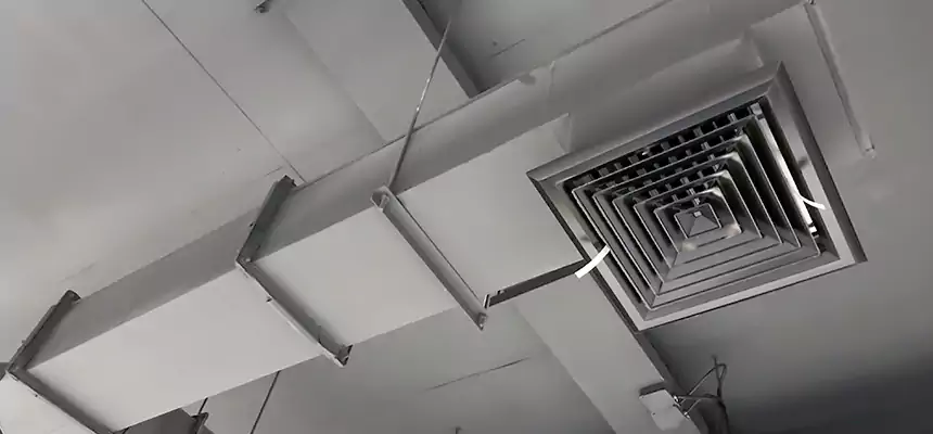 Our Rodent Droppings In Vents Services in College Park, MD