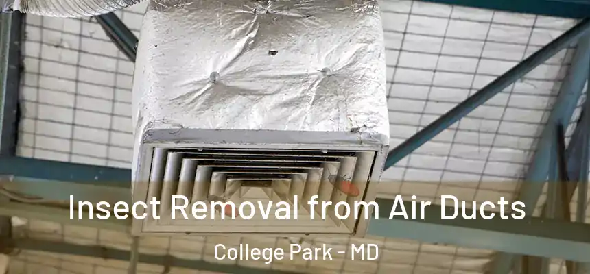 Insect Removal from Air Ducts College Park - MD