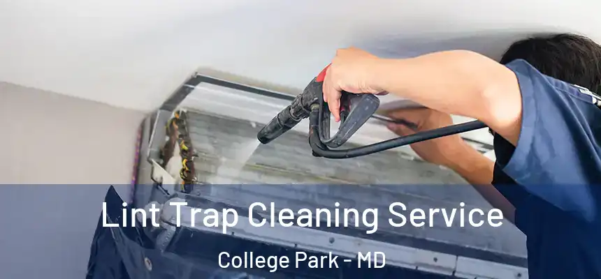 Lint Trap Cleaning Service College Park - MD