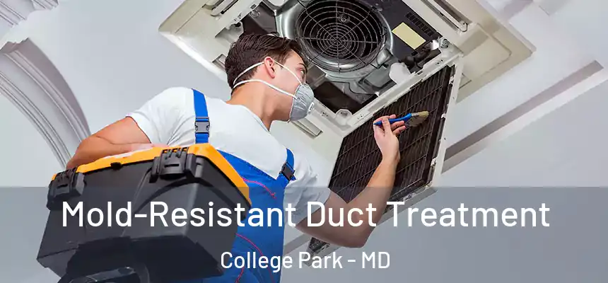  Mold-Resistant Duct Treatment College Park - MD
