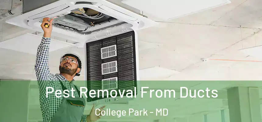 Pest Removal From Ducts College Park - MD