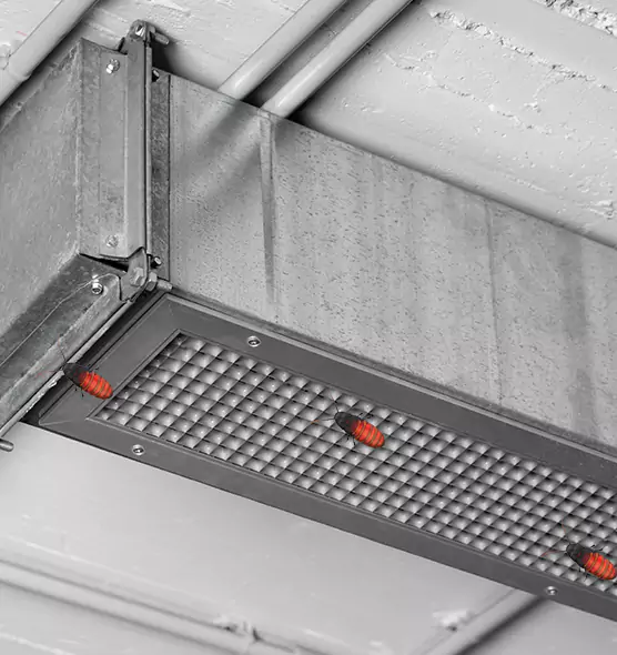 Affordable Insect Removal from Air Ducts in College Park, MD