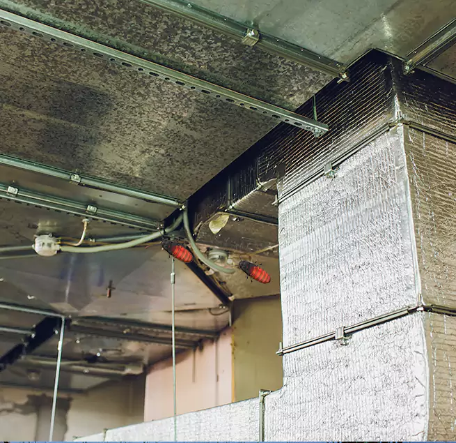 Why Homeowners & Businesses Trust Us in College Park, MD?