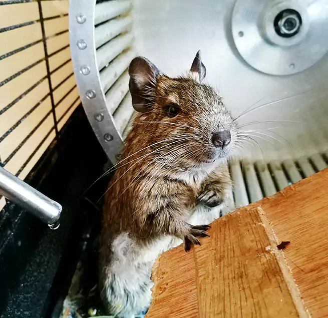 Why Homeowners & Businesses Trust Us College Park, MD