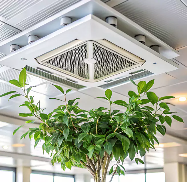 Why Homeowners & Businesses Trust Us in College Park, MD